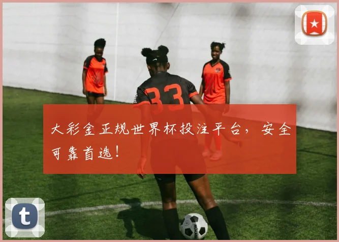 大彩金正规世界杯投注平台，安全可靠首选！