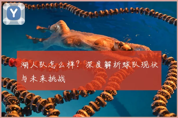 湖人队怎么样？深度解析球队现状与未来挑战