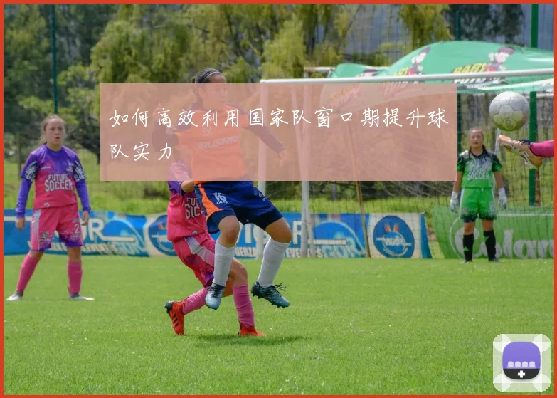 如何高效利用国家队窗口期提升球队实力