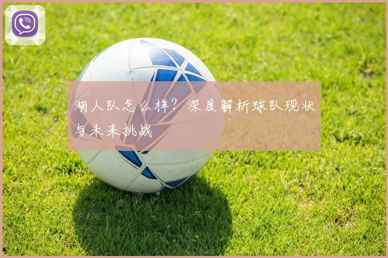 湖人队怎么样？深度解析球队现状与未来挑战