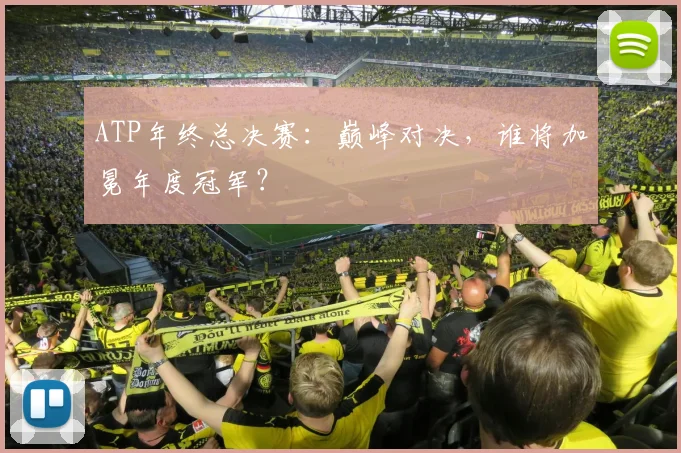 ATP年终总决赛：巅峰对决，谁将加冕年度冠军？