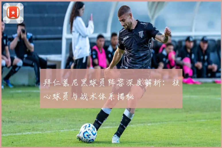 拜仁慕尼黑球员阵容深度解析：核心球员与战术体系揭秘